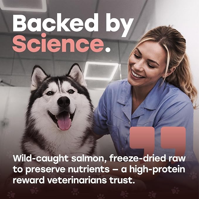 Wild Catch Treats – Freeze Dried Salmon & Sweet Potato Dog Treats – Single Protein, 43% Protein, 3% Omega-3 – Raw Training Treats & Meal Topper – Grain Free – 5.5 oz (300 Count)