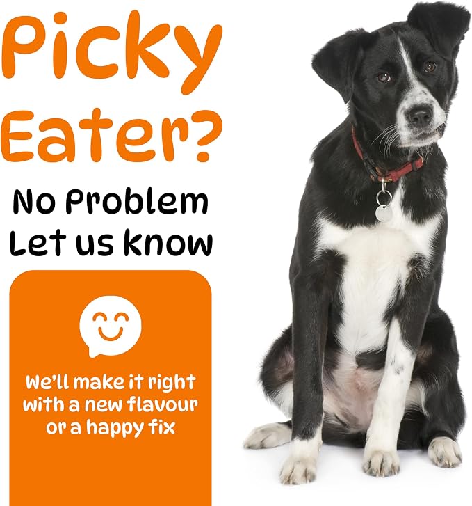 Dog Hip and Joint Supplements, Glucosamine Chondroitin & Green Lipped + Omega-3 & Turmeric + MSM, Treats Improve Joint Function & Mobility in All Ages (Chicken Flavour 100 Chews)