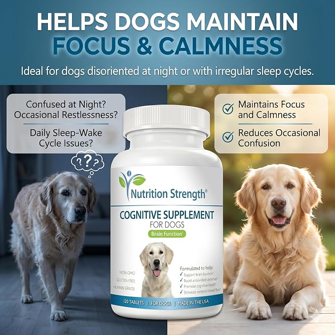 Cognitive Support for Dogs, Promotes Dog Brain Health, Mental Support Supplement for Cognitive Difficulties, 120 Chewable Tablets