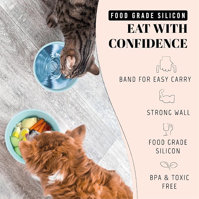 AVERYDAY 30 Oz Travel Dog Bowls with Lids