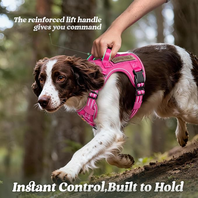 rabbitgoo Tactical Dog Harness for Large Dogs, No Pull Service Pet Vest | Military Molle System & Easy Control Handle, Adjustable and Reflective for Walking and Training, Rose Red, Large