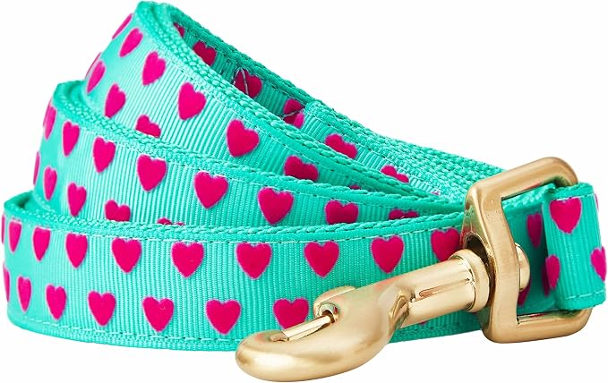 Blueberry Pet Valentine's Day Dog Leash, Velvety Soft-Touch Heart Flocking Lead for Small Dogs, Minty Green, 5 ft x 5/8"