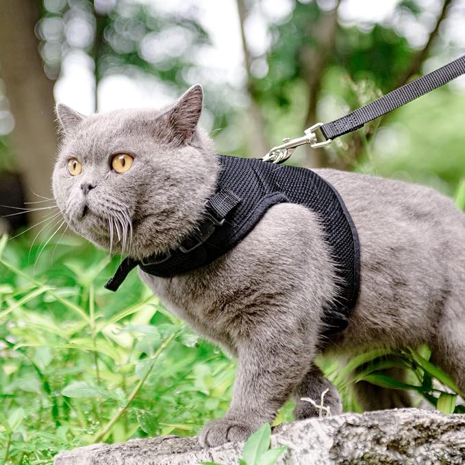 PUPTECK Soft Mesh Cat Vest Harness and Leash Set Puppy Padded Pet Harnesses Escape Proof for Cats Small Dogs Rabbits Bunny(Small, Black)