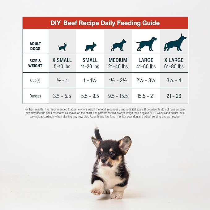 JustFoodForDogs Nutrient Blend Supplement - Beef & Russet Potato, 4.55oz
