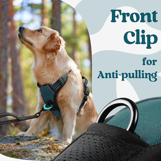 rabbitgoo Dog Harness Small Sized, Updated Easy On & Off with 3 Buckles | No Pull No Choke, Walking with 2 Clips and Handle, Adjustable Soft Reflective, Blue Coral, Small