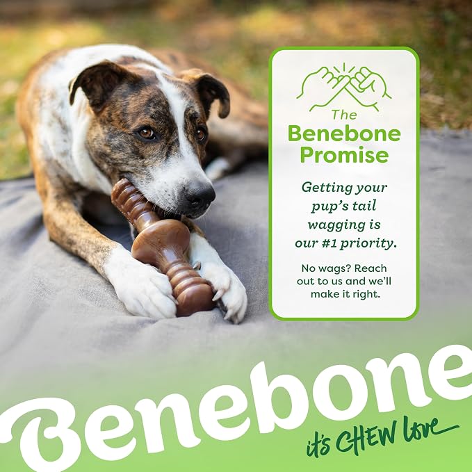 Benebone Zaggler Rolling Dog Chew Toy, Made in USA, Real Bacon Flavor, Large