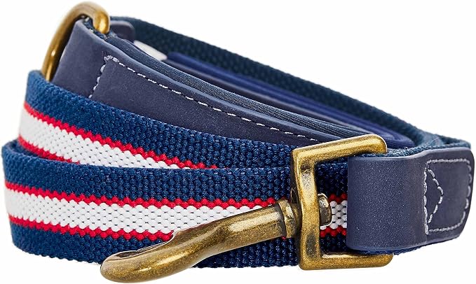 Blueberry Pet Polyester Fabric Webbing and Soft Genuine Leather Dog Leash with Soft & Comfortable Handle, 4 ft x 1", Navy White and Red, Leashes for Dogs