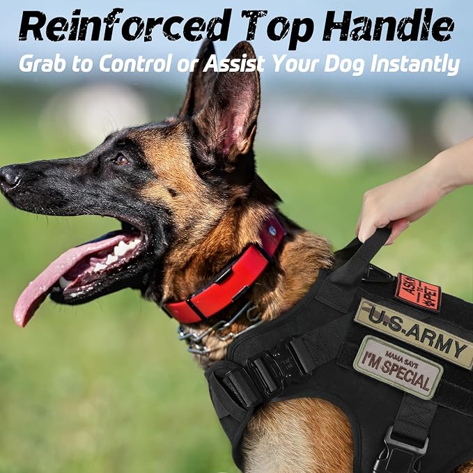 rabbitgoo Tactical Dog Harness and Leash for Large Dogs, Heavy Duty Dog Harness with Handle, No-Pull Service Dog Vest Large Breed, Adjustable Military Dog Vest Harness for Training Hunting Walking
