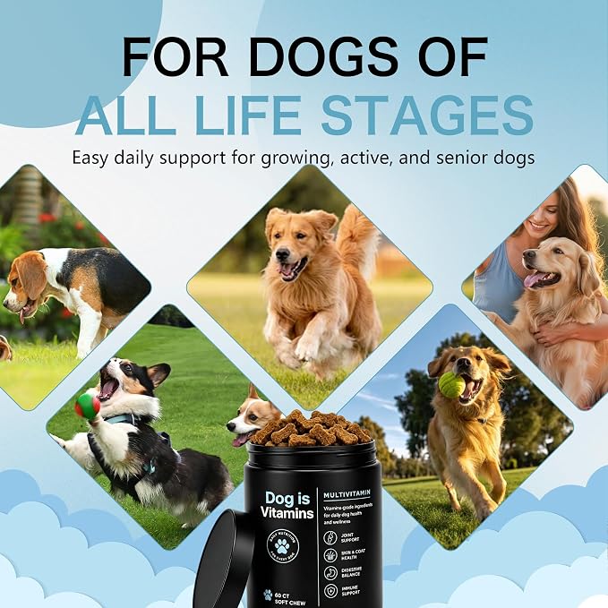 Dog is Multivitamin Chews with Salmon Oil & Chondroitin, 60 Chews (1pc)