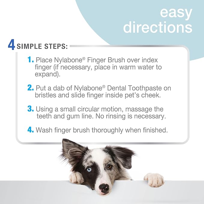 Nylabone Advanced Oral Care Finger Brush 2 Count One Size