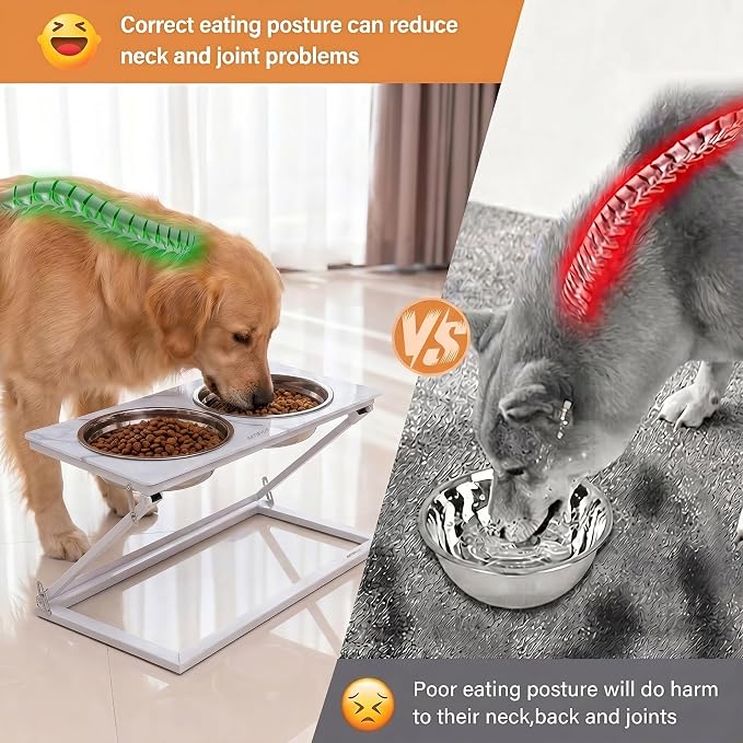 Elevated Dog Bowls, Height-Adjustable Stand with 2 Stainless Steel Food Bowls and a 20° Tilted Water Bowl—Suitable for Small, Medium, and Large Dogs(Faux Marble (White), Large)
