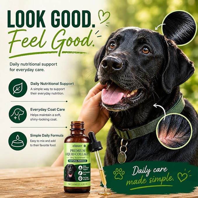 for Dogs, Hip & Joint, Skin & Coat Liquid Drops, 2 oz