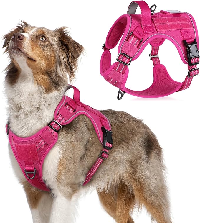 rabbitgoo Tactical Dog Harness for Medium, No Pull Military Service Vest | Molle & Handle, Heavy Duty, Adjustable, Reflective Straps, Easy Control for Training Walking, Rose Red, Medium
