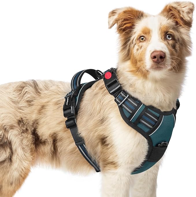 rabbitgoo Dog Harness Medium Sized, Updated Easy On & Off with 3 Buckles | No Pull No Choke, Walking with 2 Clips and Handle, Adjustable Soft Reflective, Blue Coral, Medium