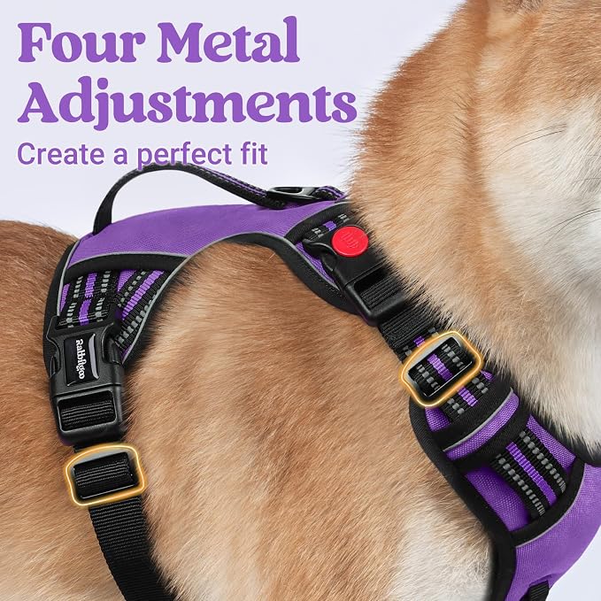 rabbitgoo Large Dog Harness, Easy Wear with 3 Buckles and Lift Handle | No Pull with Front Clip for Walking, Adjustable Soft Padded, Reflective, Easy Control, Purple, Small
