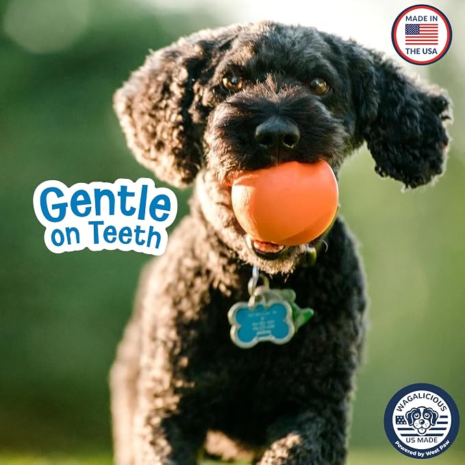 RuffRoller Fetch Toy, Floating Dog Ball, Large, Nectar