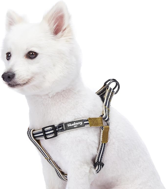 Blueberry Pet 5 Colors Step-in 3M Reflective Multi-Colored Stripe Padded Dog Harness, Chest Girth 16.5" - 21.5", Olive & Blue-Gray, Small, Adjustable Harnesses for Dogs