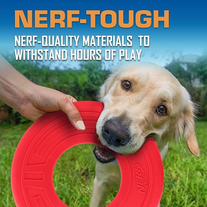 Nerf Dog Atomic Flyer Outdoor Dog Toy, 10 Inch Flying Disc Dog Fetch Toy, Rubber Dog Toy for Medium Dogs and Large Dogs, Red (Pack of 2)
