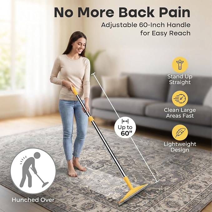 Carpet Rake for Pet Hair Removal, Metal, Xtra