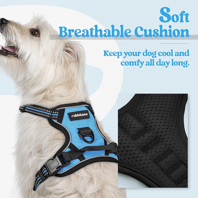 rabbitgoo Dog Harness, No Pull for Small Dogs with 2 Leash Clips, Pet Vest | No Choke with Handle, Adjustable Soft Padded, Reflective, Easy Control for Walking, Blue, X-Small