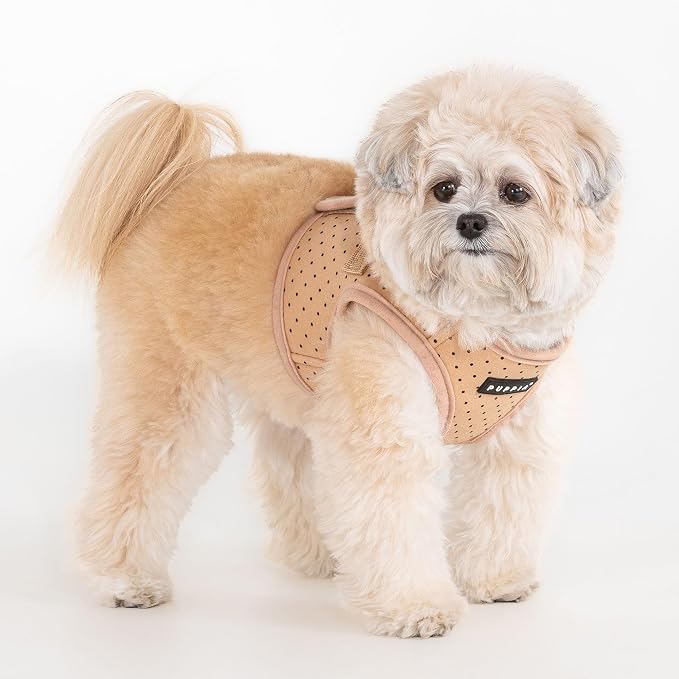 Puppia Dotty Dog Vest Harness B (Step-in) Fashionable Polka Dot Pattern Spring Summer Harness for Small Dogs, Beige, Large