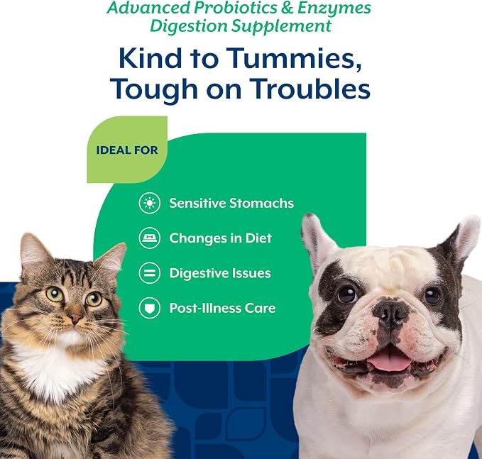 NaturVet Advanced Probiotics & Enzymes Powder for Dogs & Cats - 4oz