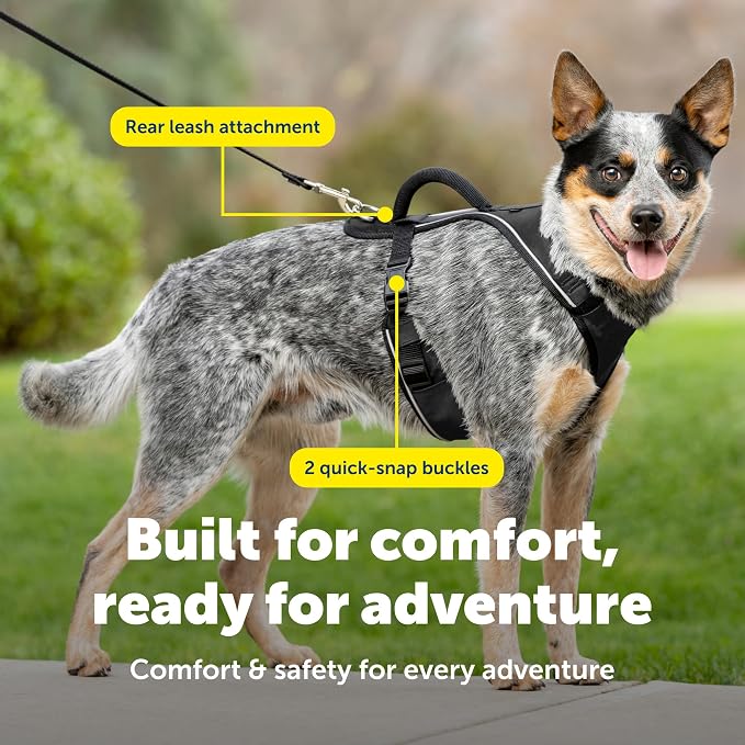 PetSafe EasySport Dog Harness, Adjustable Padded Dog Harness with Control Handle and Reflective Piping, From the Makers of the Easy Walk Harness,Black,Medium | Padded, Elastic Neckline Harness for Active Dogs, Reflective Piping for Visibility, Top Cont...