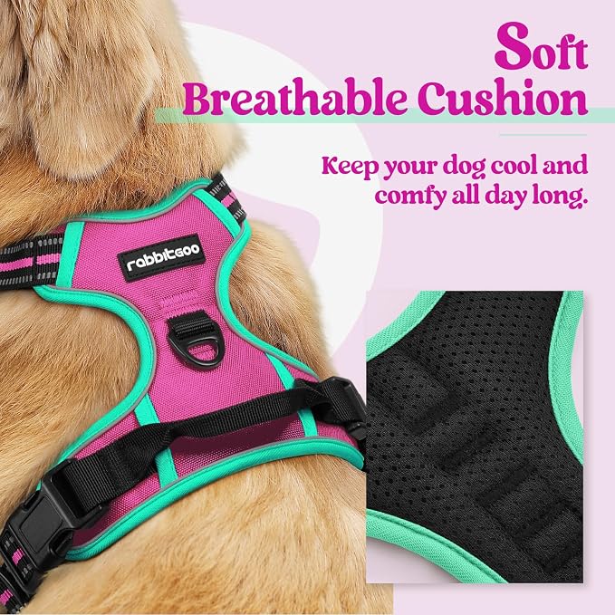 rabbitgoo Dog Harness, No Pull for Large Dogs with 2 Leash Clips, Pet Vest | No Choke with Handle, Adjustable Soft Padded, Reflective, Easy Control for Walking, Hot Pink & Turquoise, Large