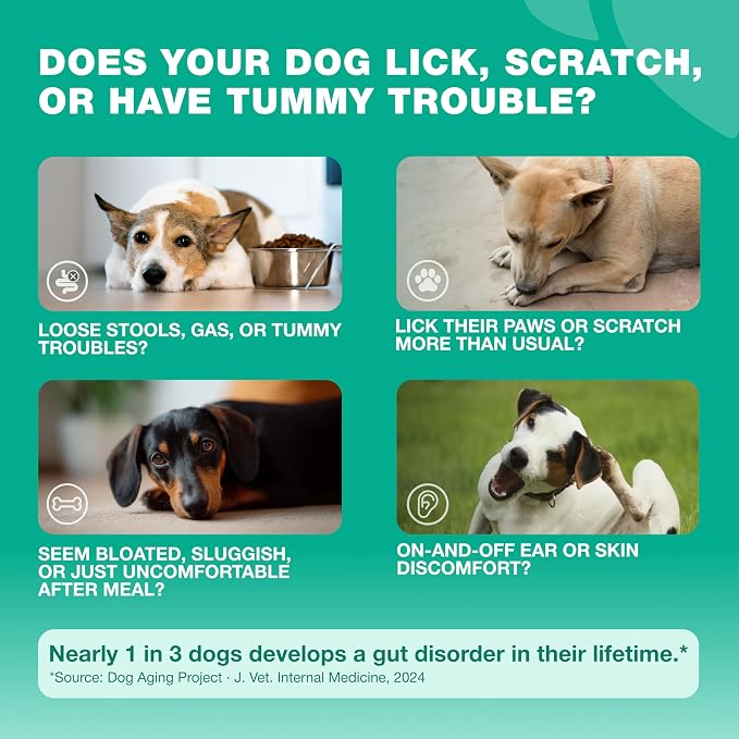 Probiotics for Dogs Gut & Digestive Health, Itchy Skin & Yeast Support