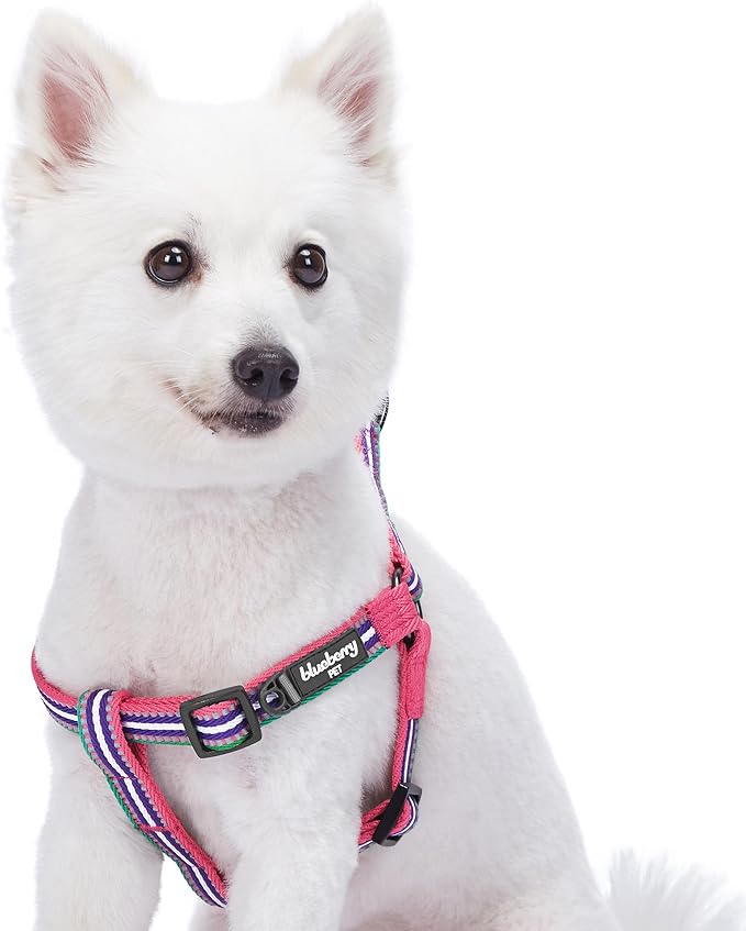Blueberry Pet 5 Colors Step-in 3M Reflective Multi-Colored Stripe Padded Dog Harness, Chest Girth 26" - 39", Pink, Emerald & Orchid, Large, Adjustable Harnesses for Dogs