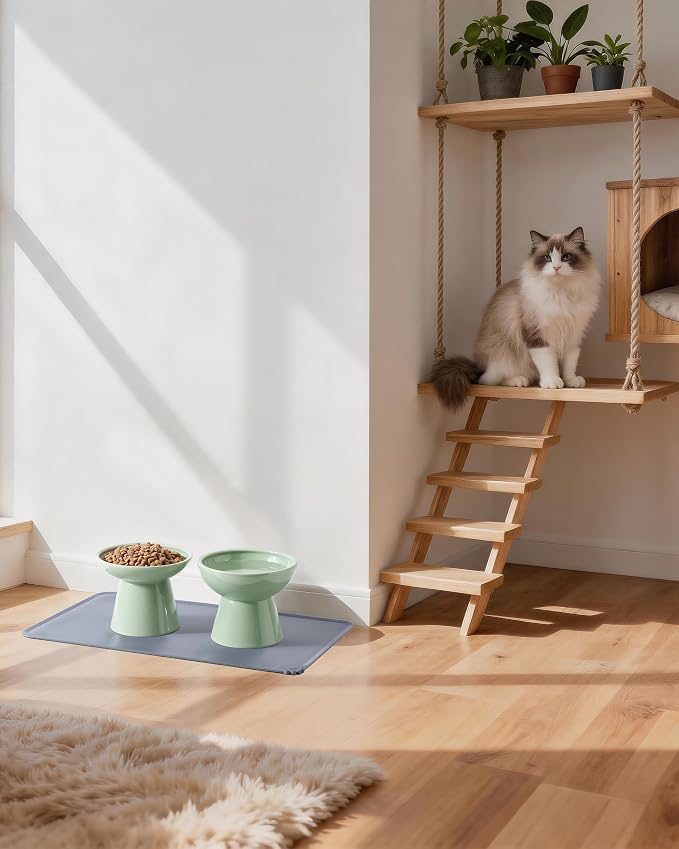 CEEFU 2 Elevated Ceramic Cat Bowls Upgraded with Food Mat, Extra Wide for Food & Water – Whisker Fatigue Shallow Food Dish, Lead & Cadmium-Free, Raised Height for Cats, Sage Green