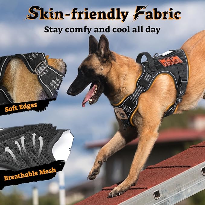 rabbitgoo Tactical Dog Harness for Large Dogs, No Pull Service Pet Vest | Military Molle System & Easy Control Handle, Adjustable and Reflective for Walking and Training, Black, X-Large