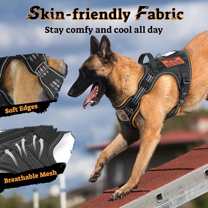 rabbitgoo Tactical Dog Harness Medium Sized, No Pull Service Pet Vest | Military Molle System & Easy Control Handle, Adjustable and Reflective for Walking and Training, Black, Medium