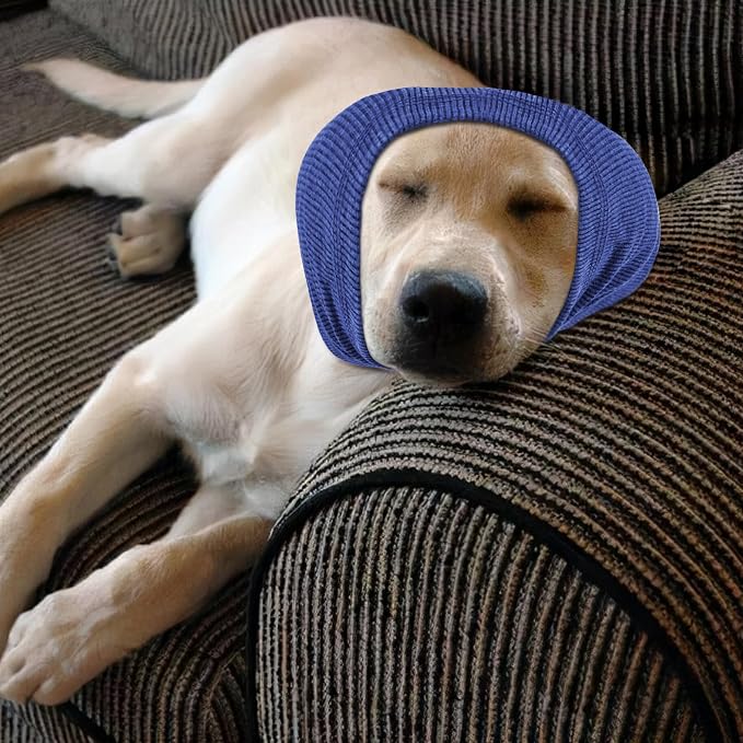 Rbenxia Dog Ear Muffs - Noise Protection & Warmth Winter Ear Scarf (Blue, Large)