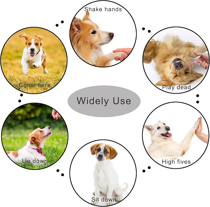 Pet Training Clicker with Strap, Black & White
