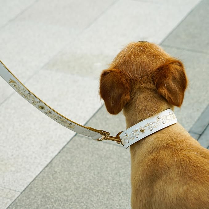 Blueberry Pet Elegant Western Luxury White Leather Dog Leash with Gold Baroque Design
