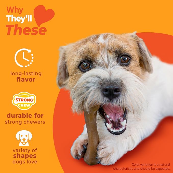 Nylabone Strong Chew Dog Toy 4-Pack, Durable Chew Toys, Small Dogs | Dog toys for aggressive chewers, made with real bacon, bison, venison, beef and chicken, for small breed dogs up to 25 lbs