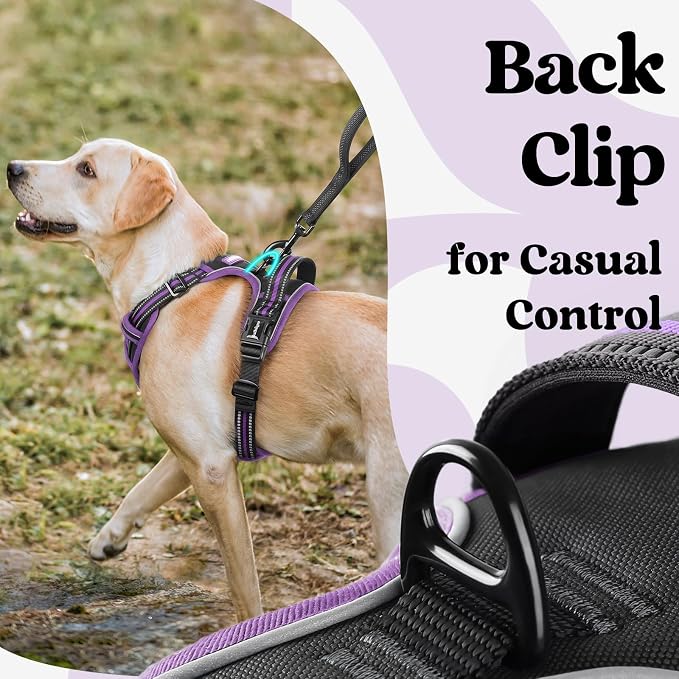 rabbitgoo Dog Harness for Large, Updated Easy On & Off with 3 Buckles | No Pull No Choke, Walking with 2 Clips and Handle, Adjustable Soft Reflective, Black & Purple, X-large
