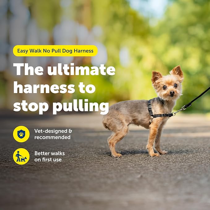 PetSafe Easy Walk No-Pull Dog Harness - Ultimate Harness to Help Stop Pulling - Pull-Free Walks - Take Control & Teach Better Leash Manners - Patented Martingale Loop Design - Black, Petite