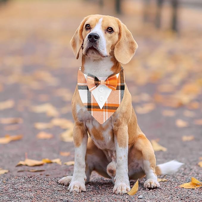 Fall Dog Tuxedo Bandana, Large, Small, Orange