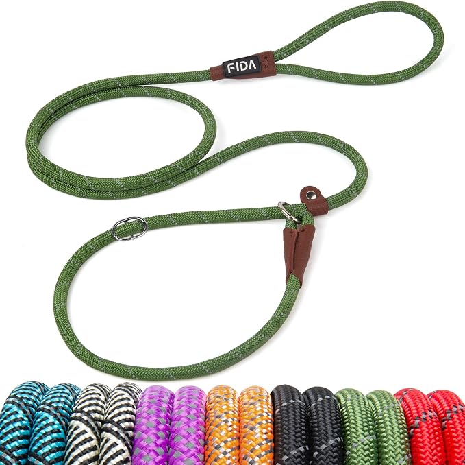 Fida Durable Slip Lead Dog Leash, 6 FT x 3/8" Heavy Duty Comfortable Strong Rope Slip Lead for Small Dogs and Puppies, No Pull Pet Training Leash with Highly Reflective(3/8", Green)