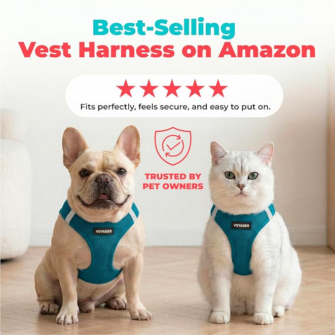 Voyager Step-in Air Dog Vest Harness - Turquoise, Large | 18- 20.5" in Chest, Reflective Bands, All Weather Breathable Air Mesh, Cats Compatible, Lightweight, Fast Drying