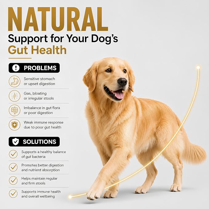 VetDr.Mois® Probiotics for Dogs, 120 Soft Dog Probiotic Chews for Dogs Gut Health Digestive & Immune Support, Dog Probiotics for Yeast Itchy Skin with Digestive Enzymes, Constipation & Diarrhea Relief