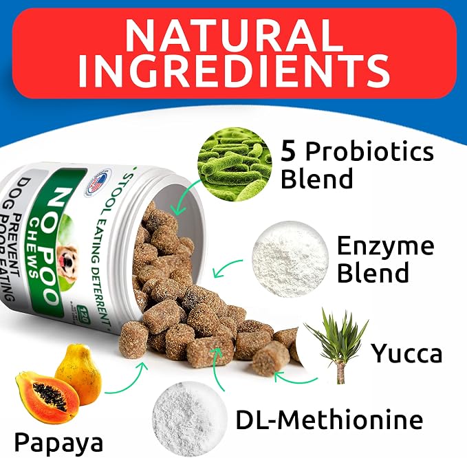 Glucosamine Bacon Flavor + NO PОO Treats Bundle - Joint Pain Relief + Coprоphagia Treatment - Chondroitin, MSM, Omega-3 + Probiotics & Enzymes - Digestive Health - 240 Soft Chews - Made in USA