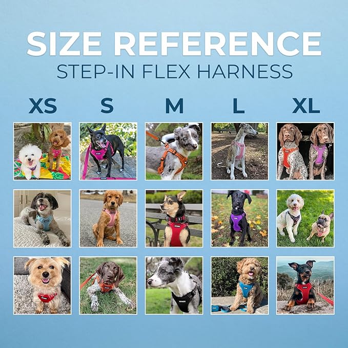 Voyager Step-in Flex Adjustable Dog Harness - Baby Blue, X-Small | 13 - 16" in Chest, Fully Adjustable, Reflective Bands, All Weather Breathable Air Mesh, Lightweight, Fast Drying