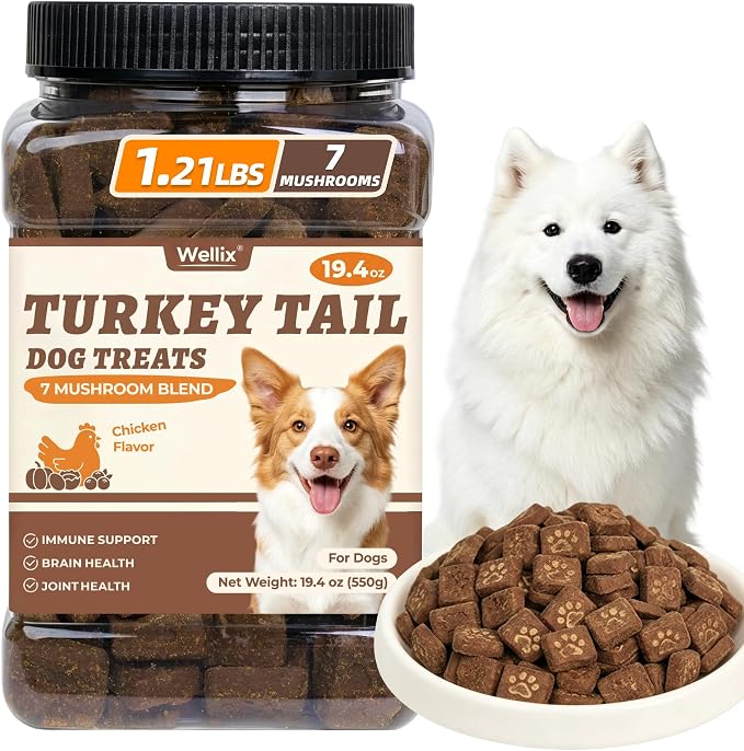 Wellix Turkey Tail Dog Treat for Immune Support, Crunchy Dog Biscuit 1.21lb