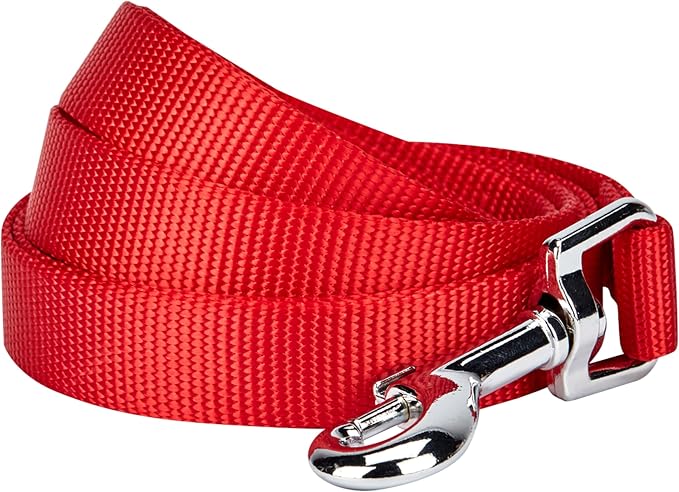 Blueberry Pet Essentials Rouge Red Dog Leash for Small -5' * 5/8" Dogs | Heavy Duty Nylon Lead | Lightweight Puppy & Cat Leash for Walking & Training
