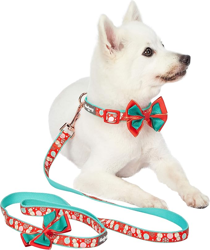 Blueberry Pet Snowman Making Christmas Designer Dog Leash with Bowtie, 5 ft x 3/4", Medium, Leashes for Dogs