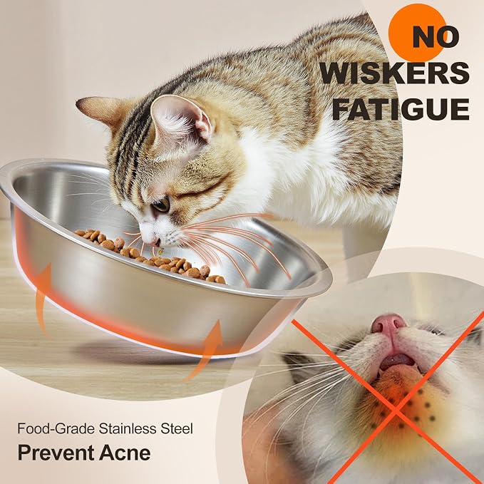 Elevated Cat Bowls for Food and Water - Loplurea 15° Tilted Raised Stainless Steel Cat Food Bowl with Black Bamboo Stand and Anti Vomit Feeding Station for Indoor Kittens and Pet