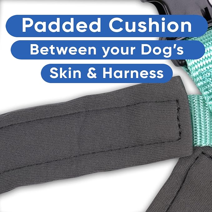Pawtitas Reflective Padded Dog Harness for X-Small Dogs – Adjustable Puppy Step-in Vest | Fits Chest 14–18 in | No Pull Training Harness | XS | Teal